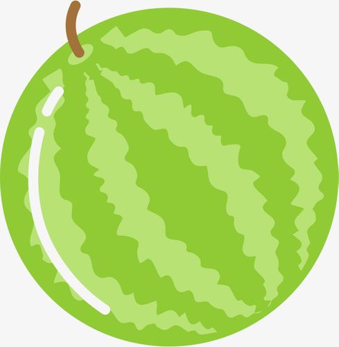 图片 > 【png】 手绘绿色西瓜水果