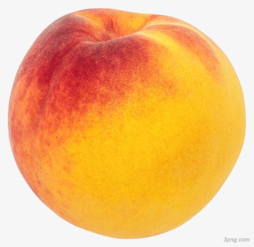 标签:桃子新鲜桃子桃子水果一个桃子桃子手绘产品实图桃子新鲜半个
